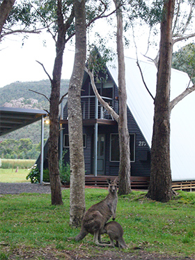 The AFrame, Halls Gap, The Grampians